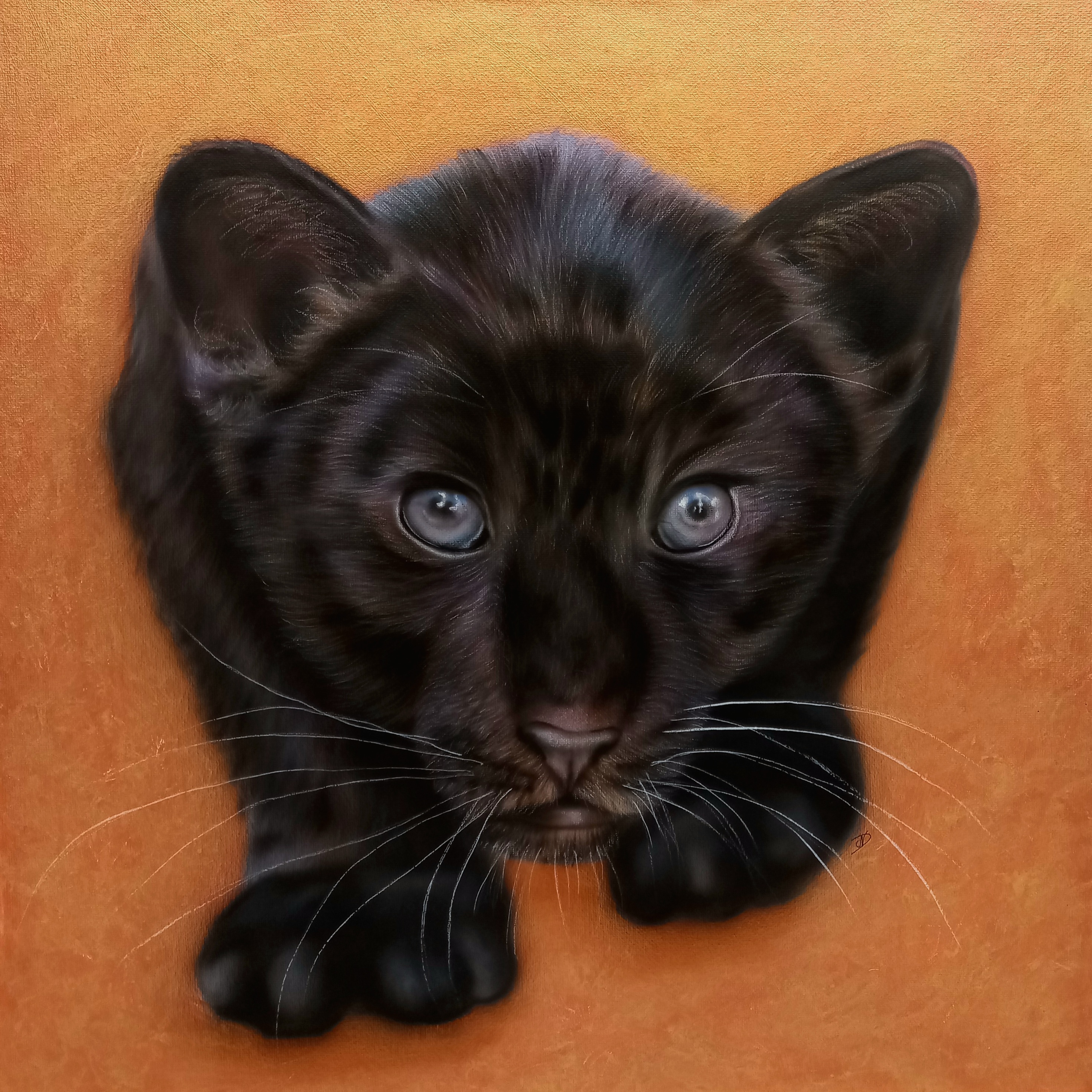 release the Jaguar cub